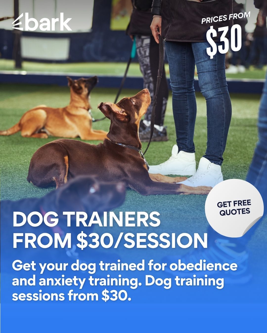 Bark.com Facebook ad