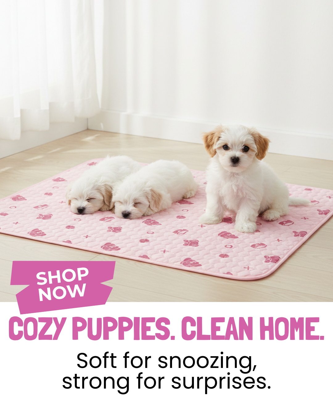 Potty Buddy Facebook ad