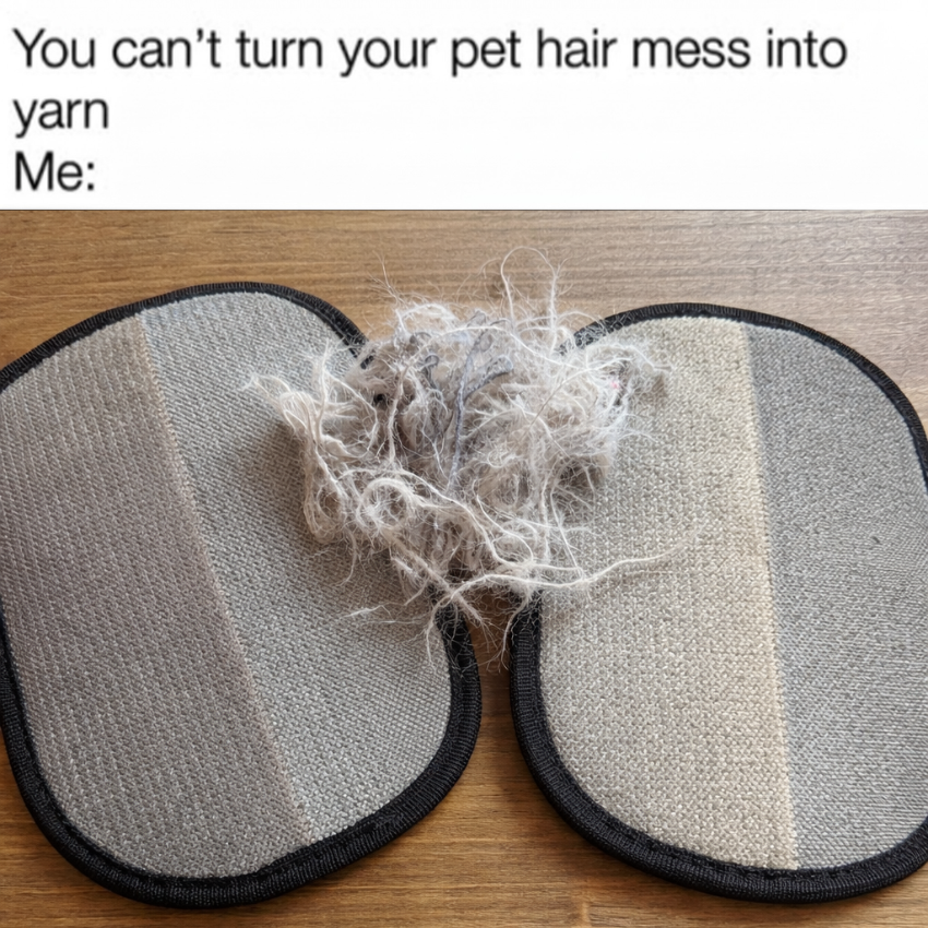Ella's Pet Diary Facebook ad