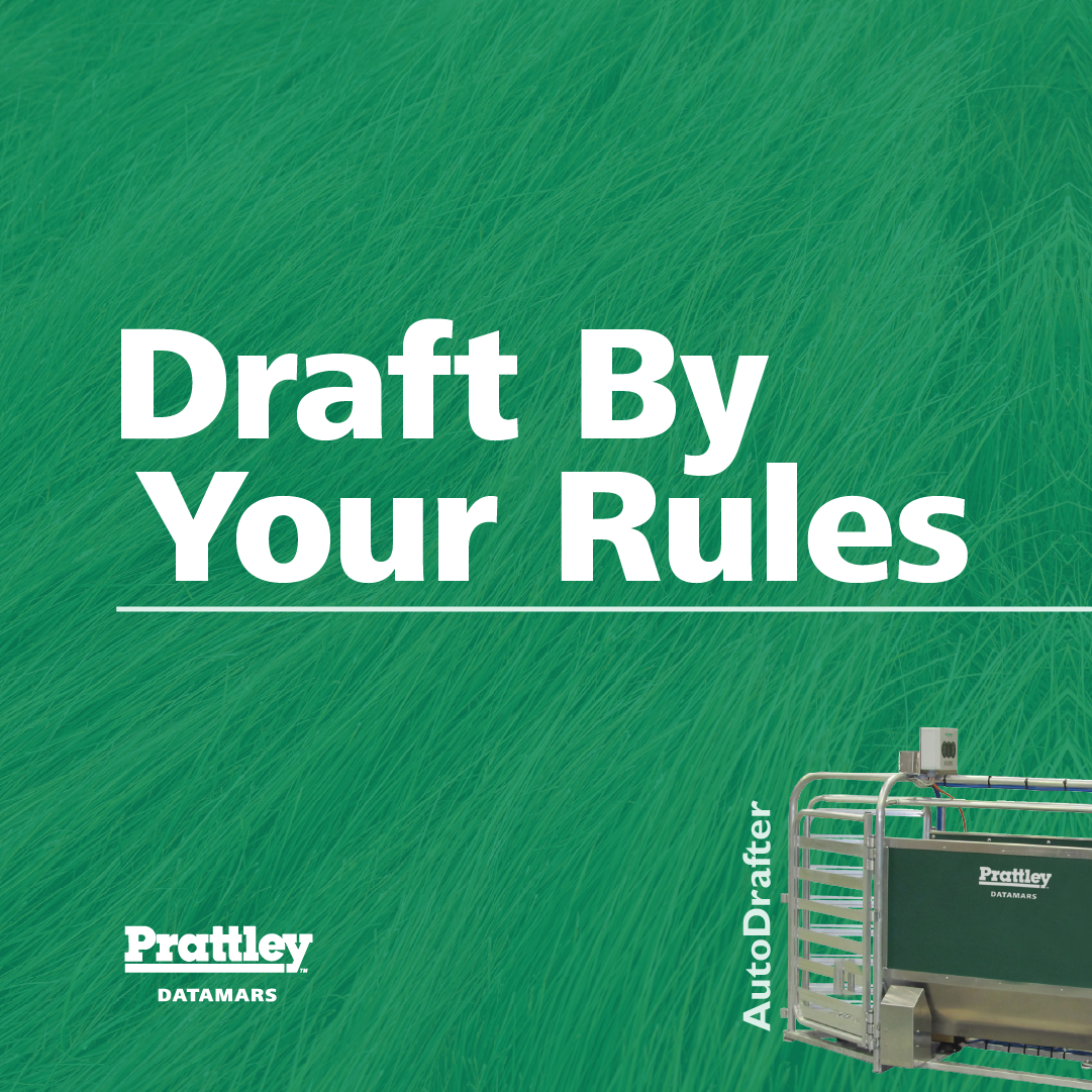 Datamars Livestock AU Facebook ad: Every operation is different, and rules-based drafting…