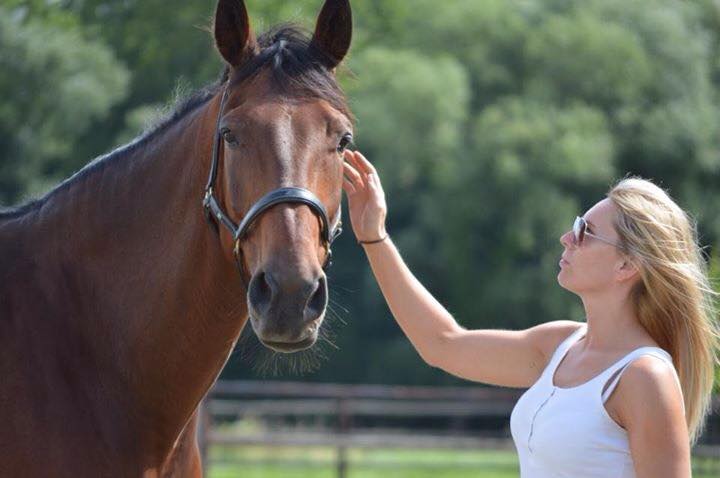 HorsEnergy life coaching Vlaanderen Facebook ad: Opleiding tot paardencoach