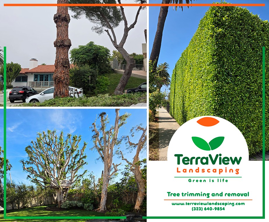 Terraview Landscaping Facebook ad: Professional landscaping services in Los Angeles County.
