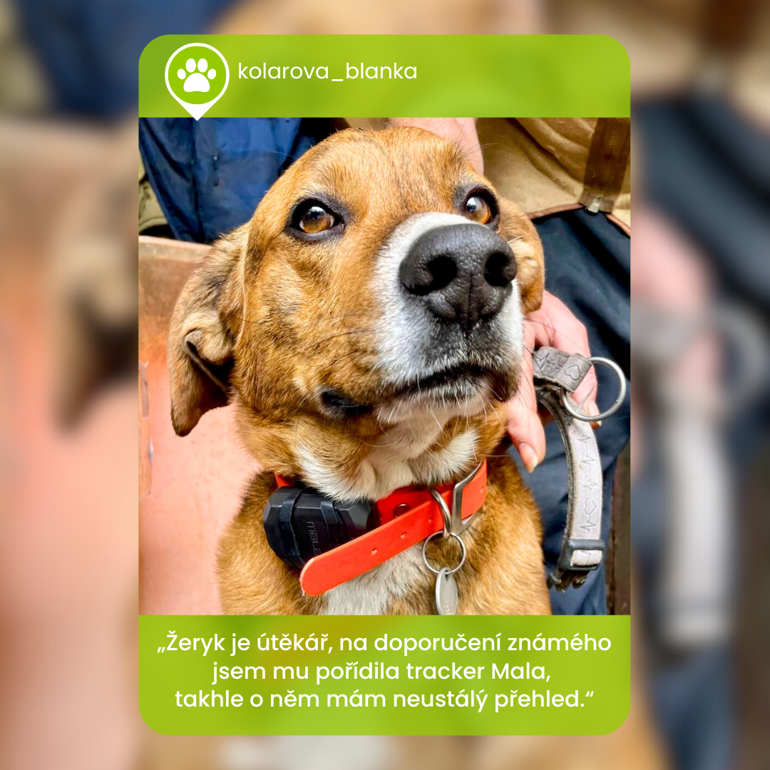 MALA GPS Facebook ad