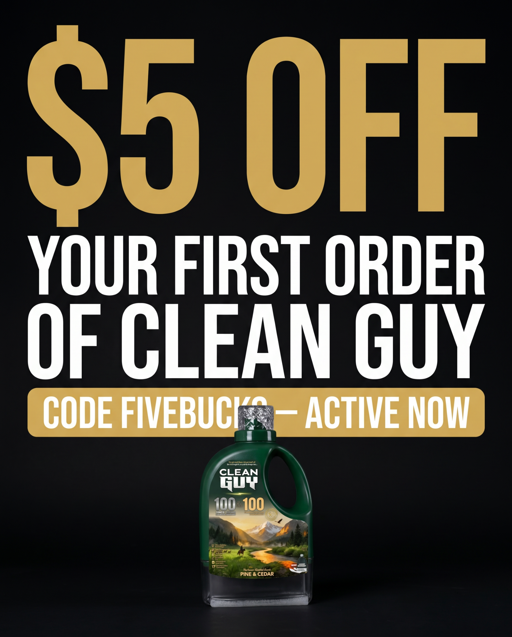Clean Guy Facebook ad