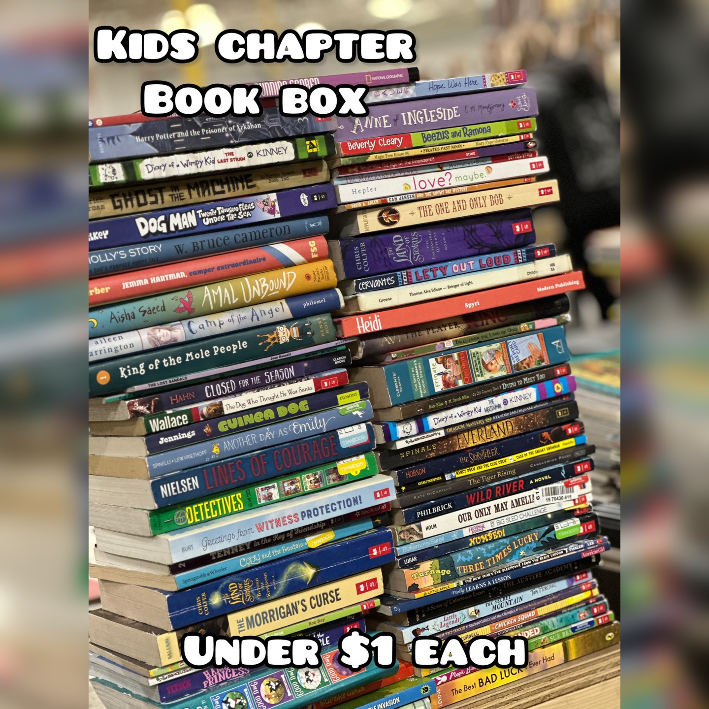 The Book Bundler Facebook ad: Kids Chapter Book Box - 50 books $45