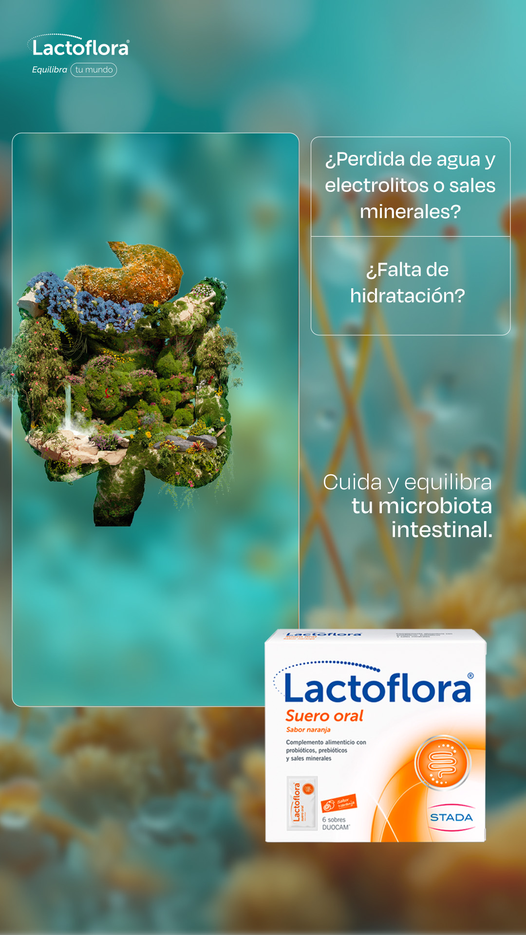 Lactoflora Facebook ad