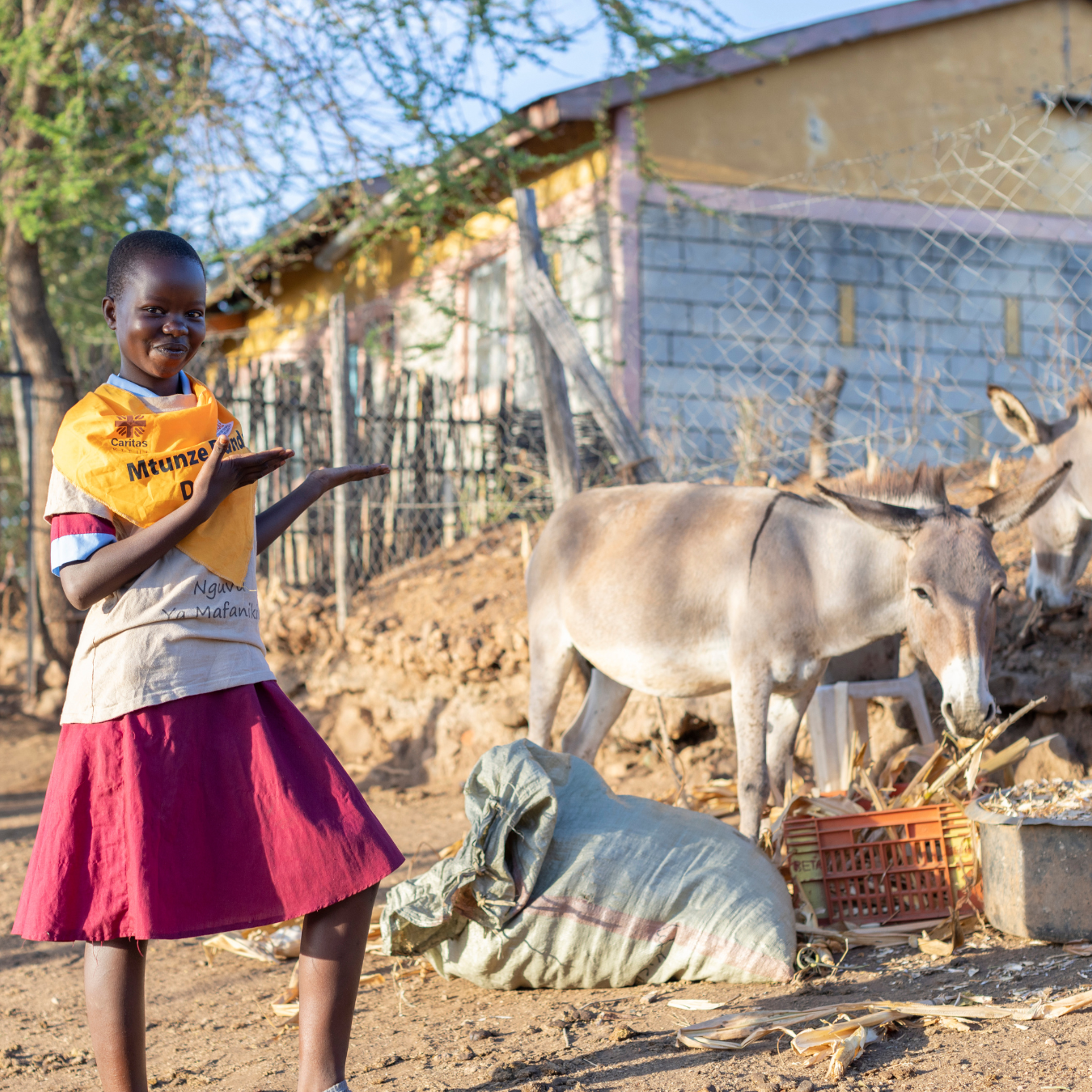 Brooke, Action For Working Horses and Donkeys Facebook ad: Brooke brings hope to working horses, donkeys and…