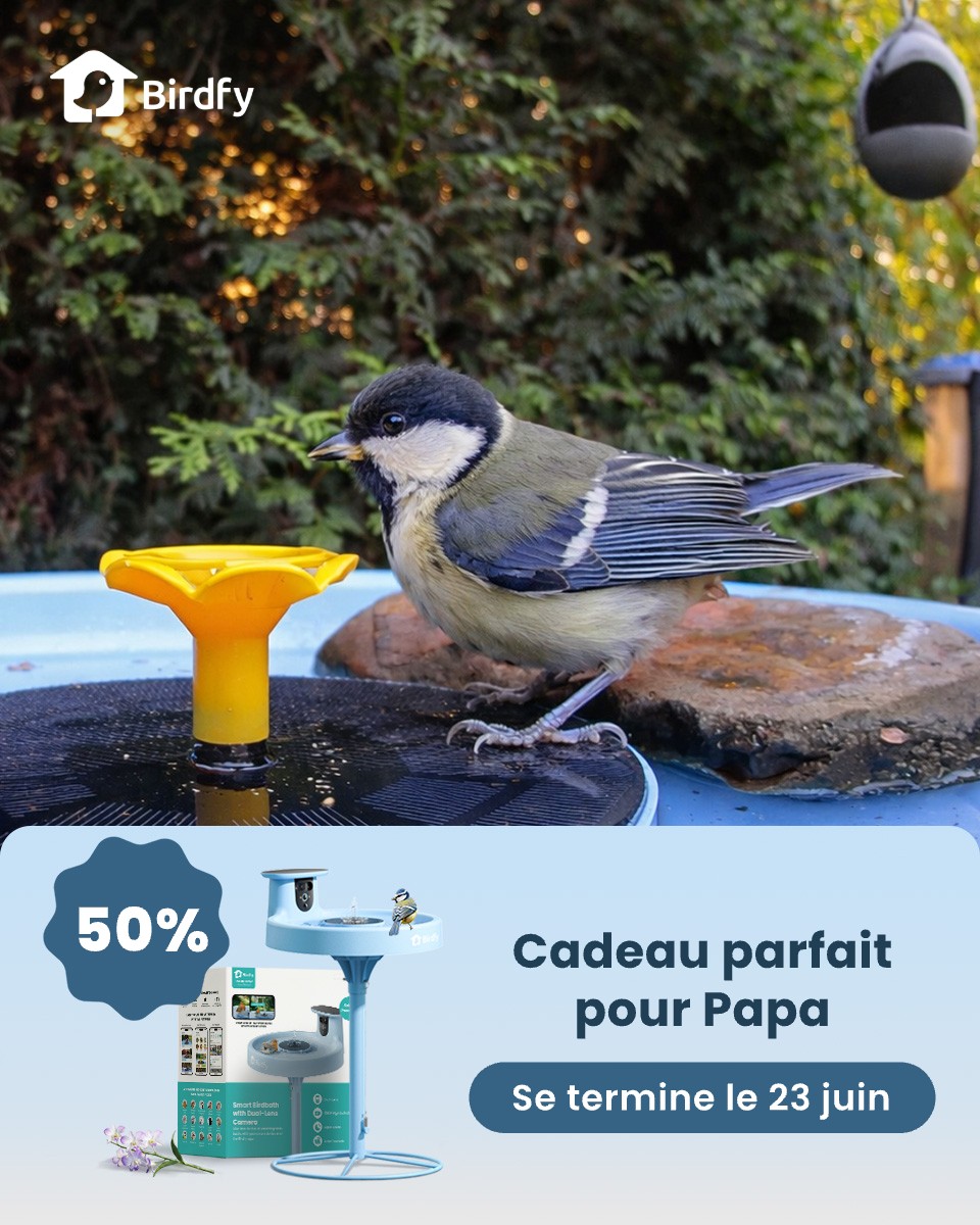 Birdfy by Netvue Facebook ad: Birdfy Bath Pro - Fontaine à oiseaux intelligente avec…