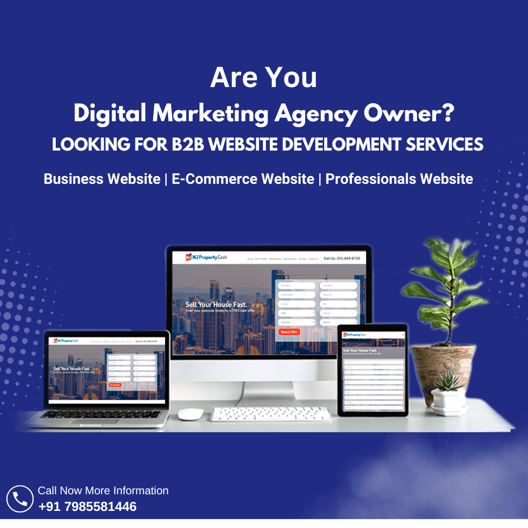Anasol Software Facebook ad: B2B Website Development Services Starting Rs.2,999