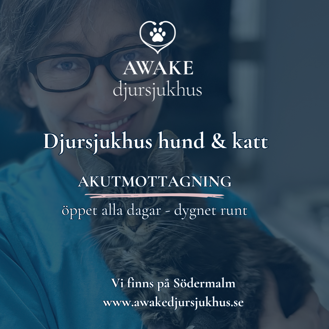 AWAKE Djursjukhus Stockholm Facebook ad: Akut-och specialistdjursjukhus i Stockholm