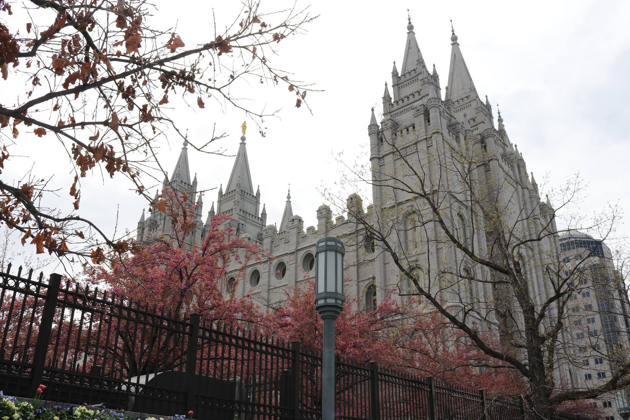 Church of Jesus Christ Temples Facebook ad: The Church of Jesus Christ of Latter-day Saints…