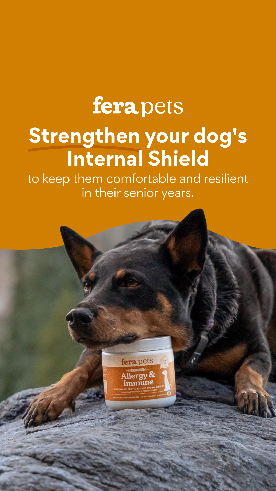 Fera Pets Facebook ad