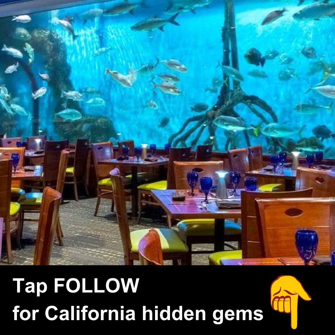 California Day Trips  Facebook ad