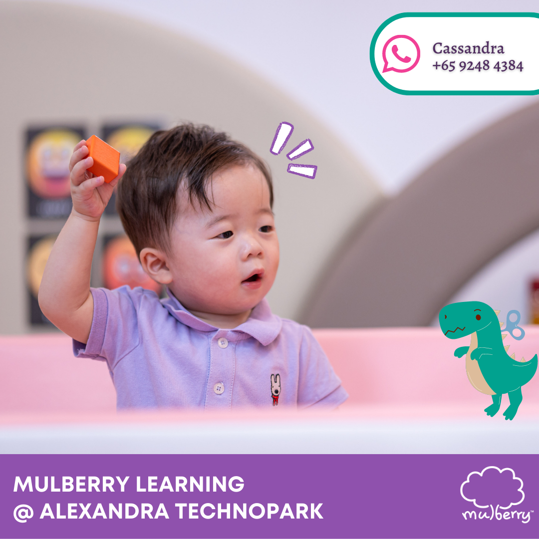 Mulberry Learning Alexandra TechnoPark Facebook ad from Apr 10, 2025