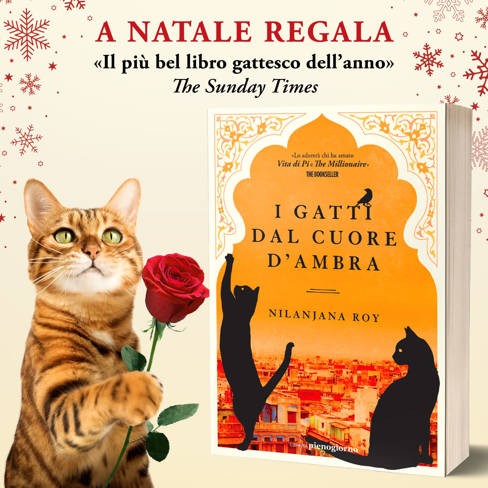 I gatti dal cuore d’ambra - Il libro Facebook ad