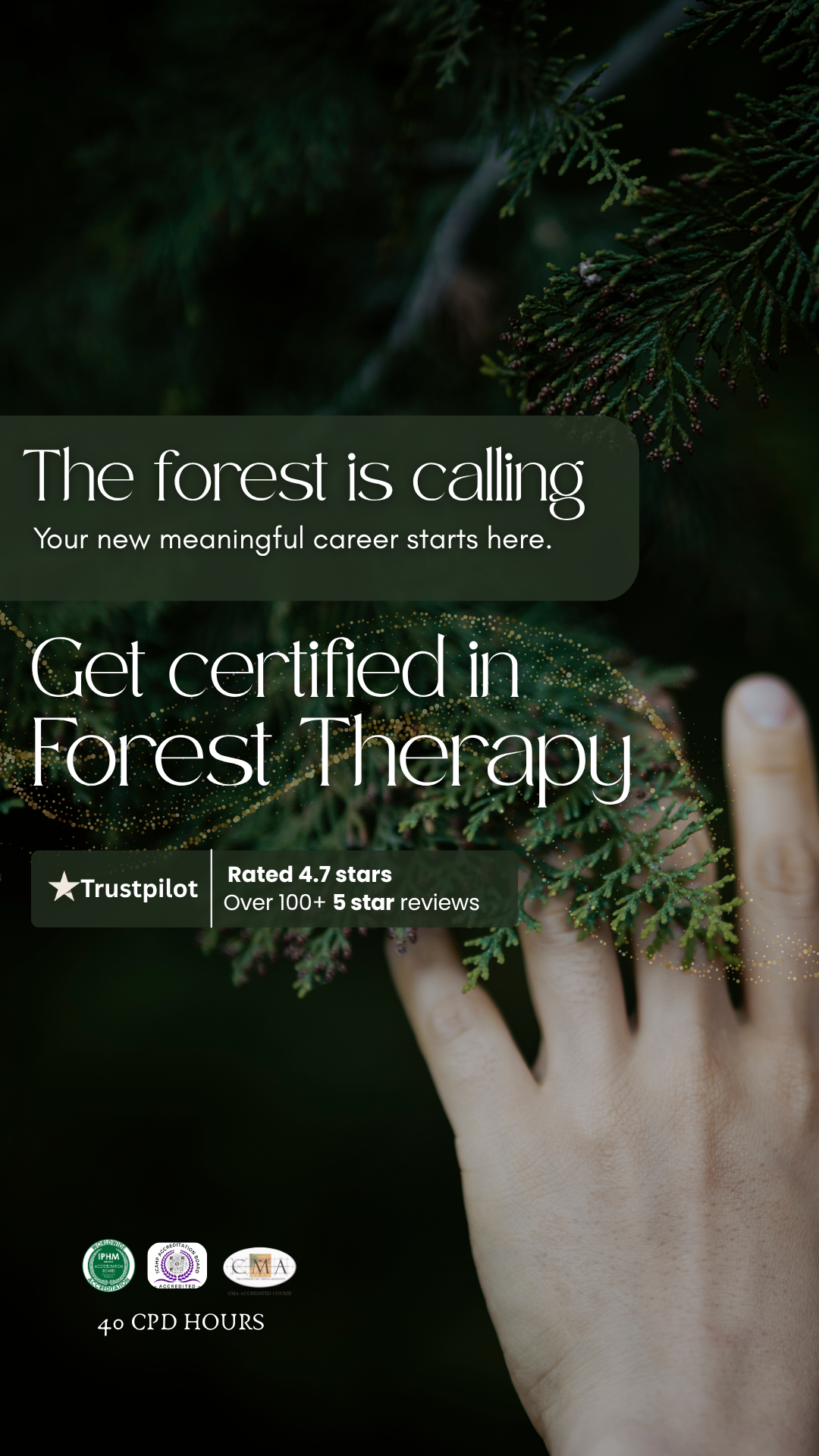 Alma Oasis Facebook ad: Become a ππ²πΏππΆπ³πΆπ²π± Sylvotherapy Practitioner