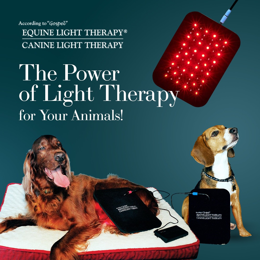 According to "Gospel"...Equine Light Therapy Facebook ad