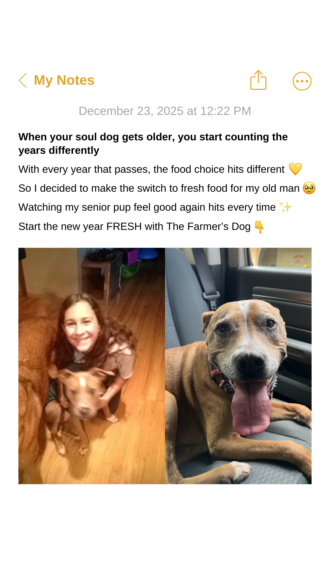Rounds Of A Paws Facebook ad