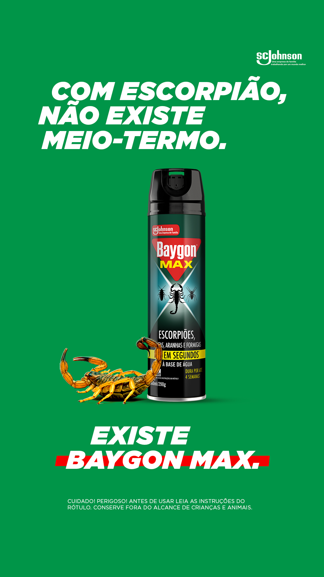 Baygon Facebook ad