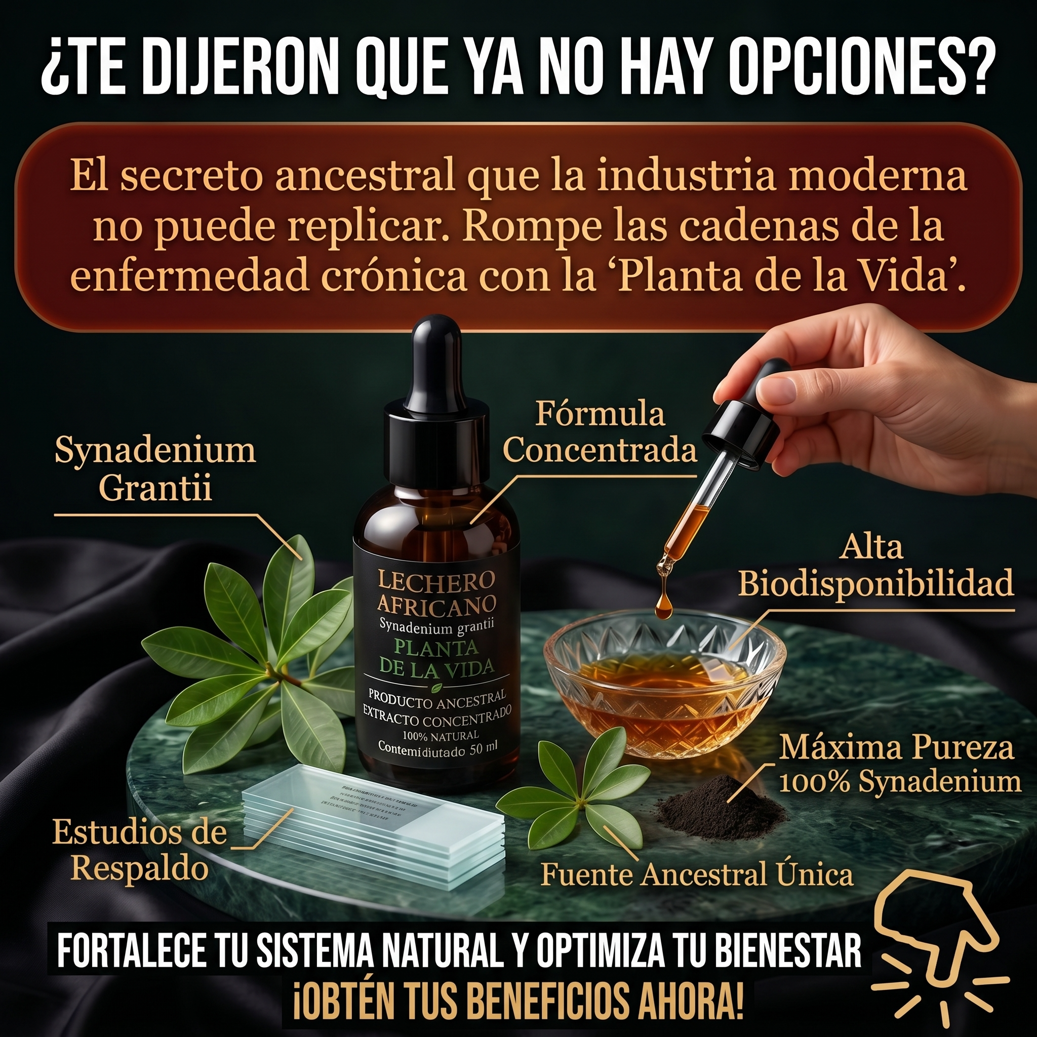 Productos Ancestrales Facebook ad