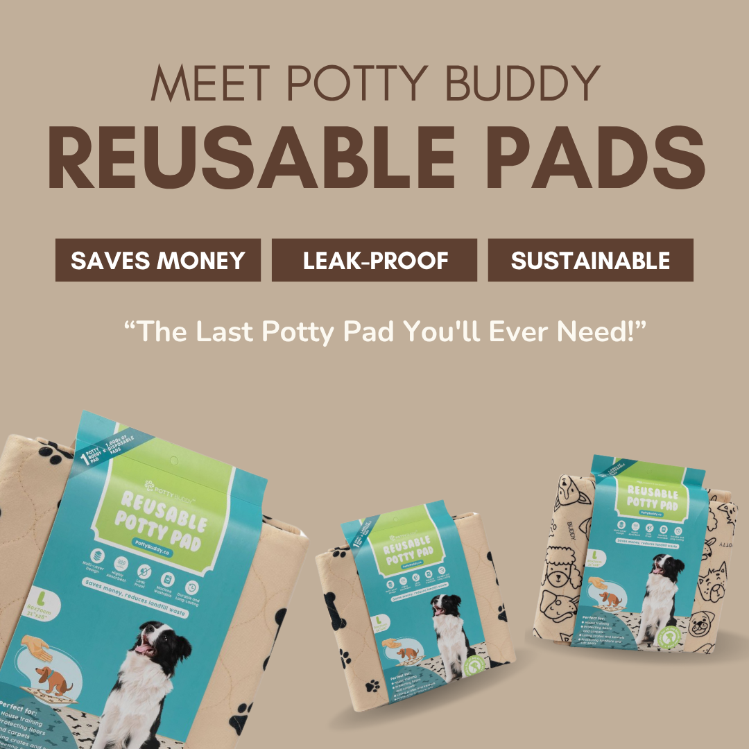 Potty Buddy Facebook ad