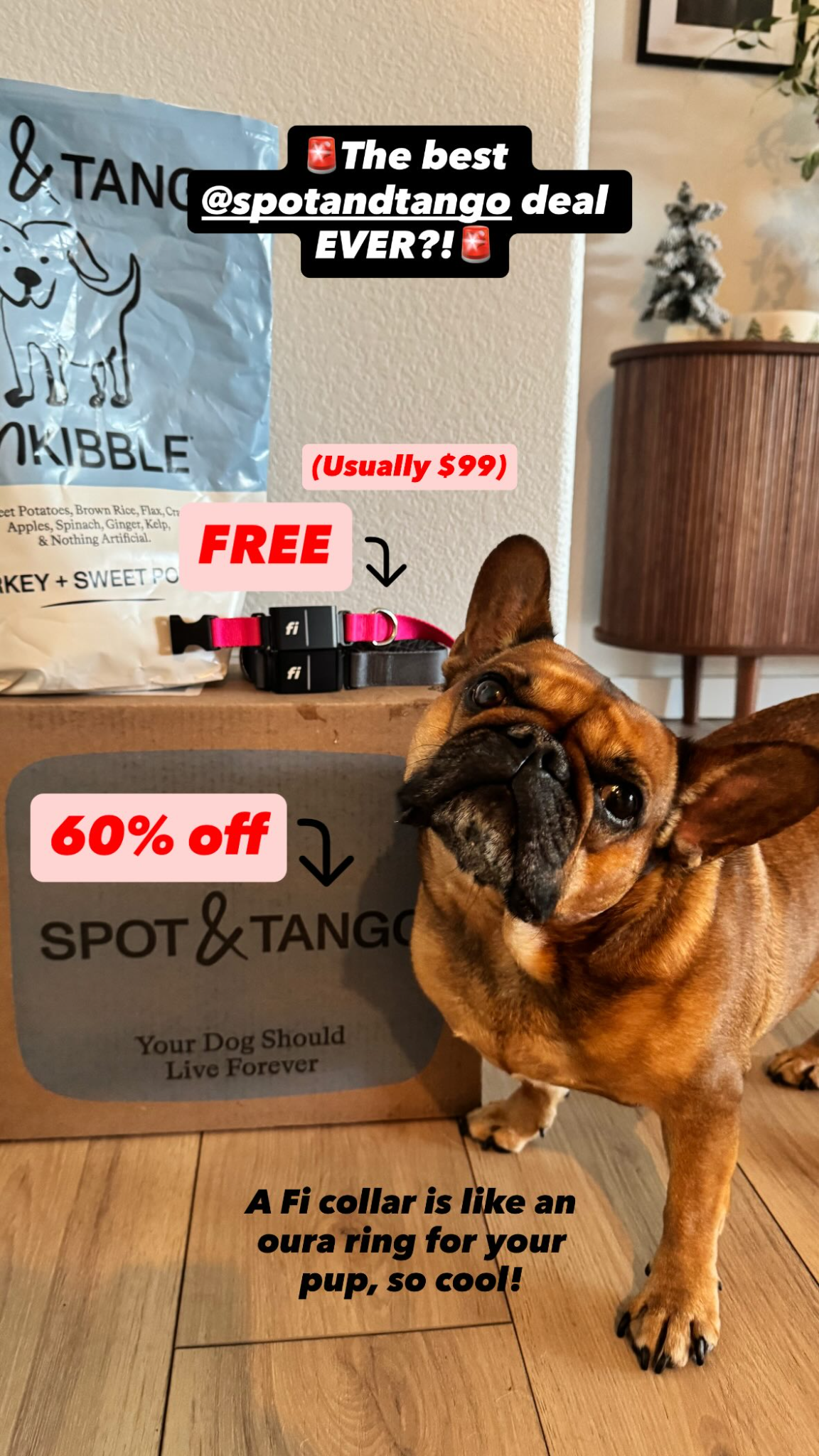 Spot and Tango Facebook ad