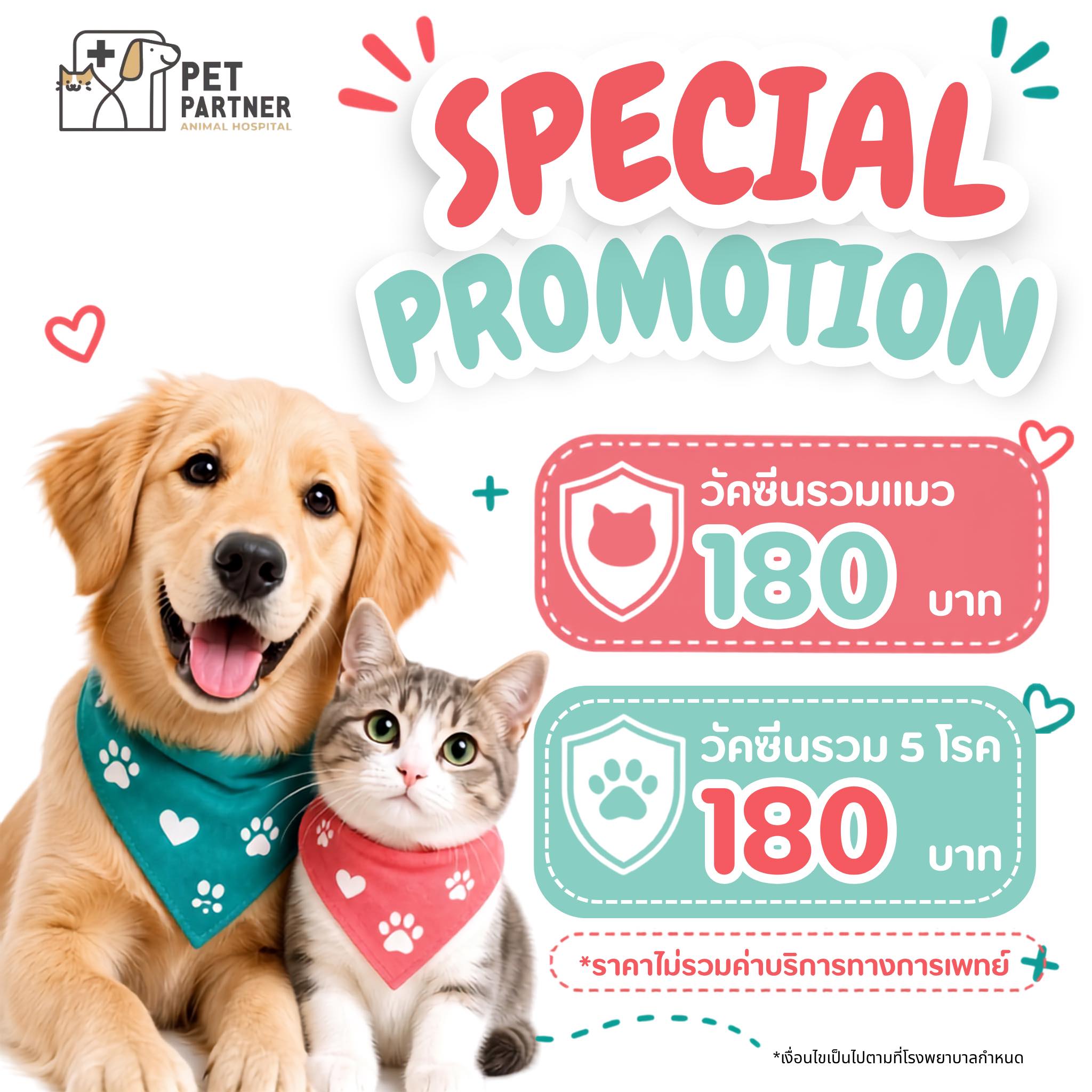โรงพยาบาลสัตว์เพ็ทพาร์ทเนอร์ Pet Partner Animal Hospital Facebook ad: ดูแลสุขภาพน้องๆ ให้แข็งแรงในราคาสบายกระเป๋า!