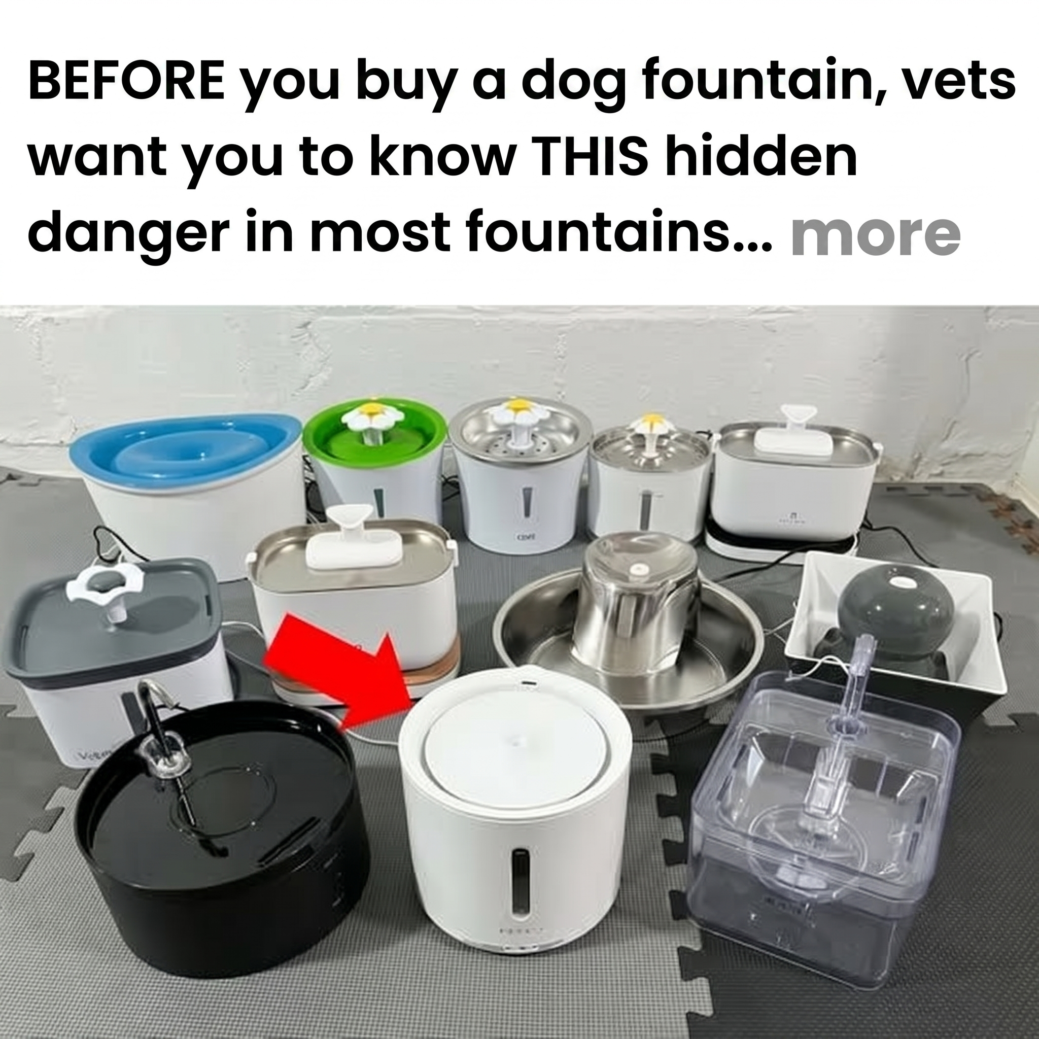 Health Reviews Facebook ad: Read Before You Buy Your Dog A Fountain