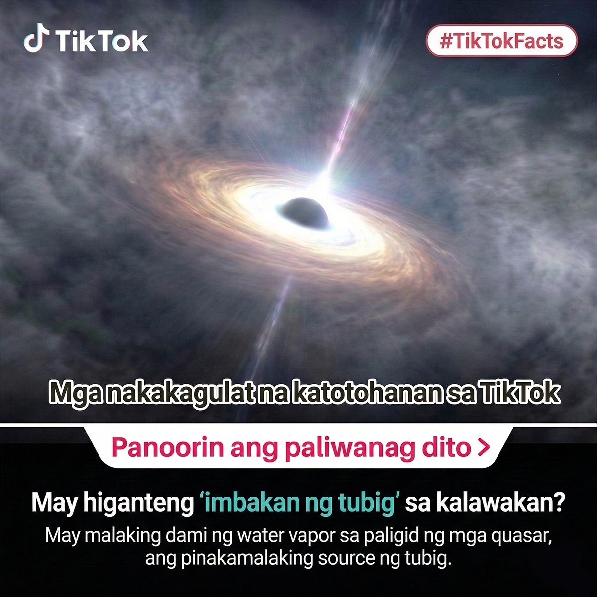 TikTok- Global Facebook ad