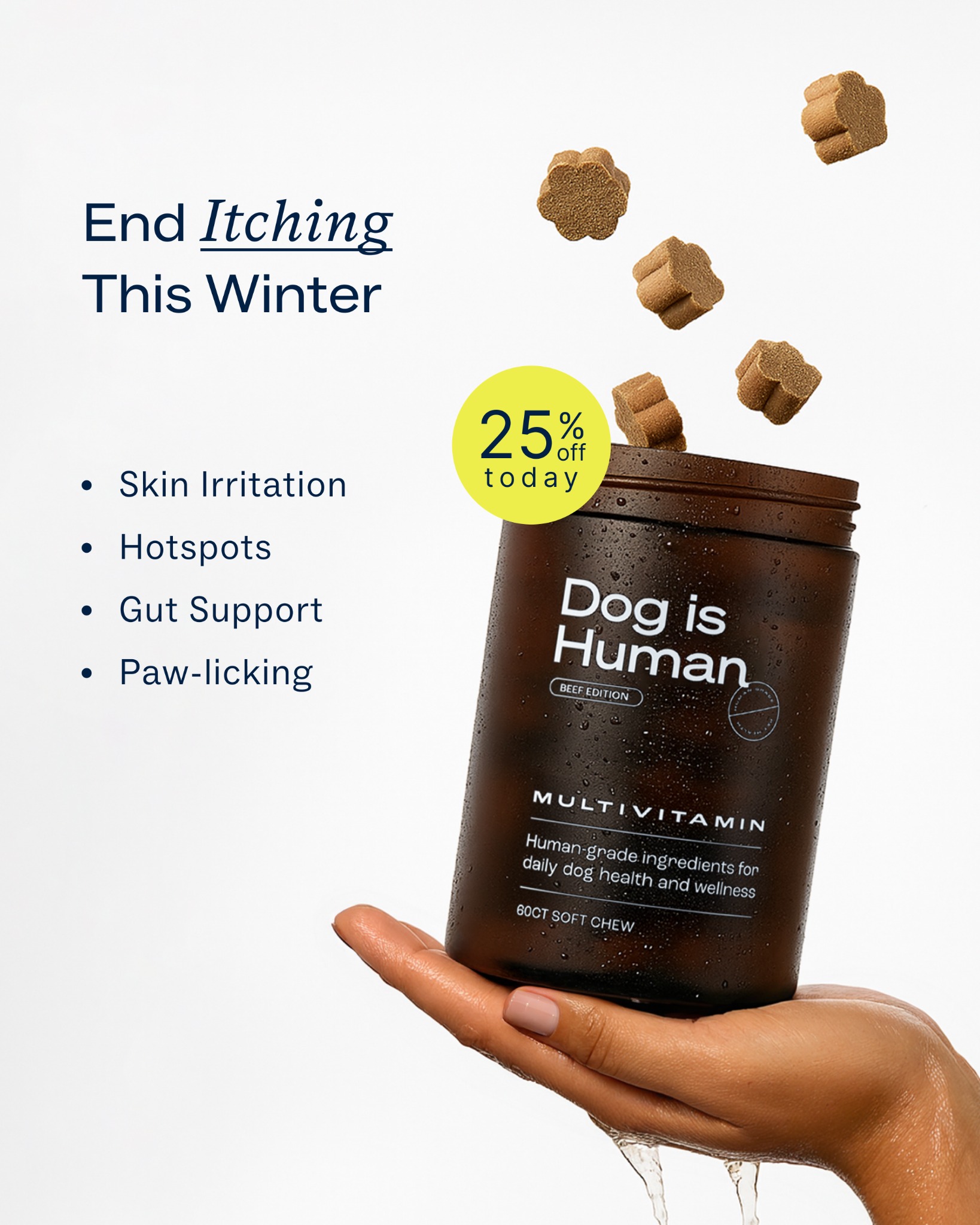 Dog is Human Facebook ad