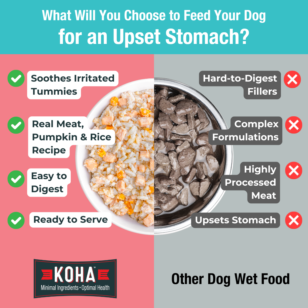KOHA Pet Food Facebook ad