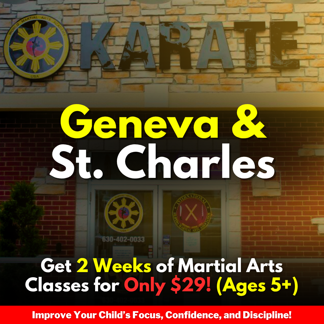 World Martial Arts Academy USA Facebook ad