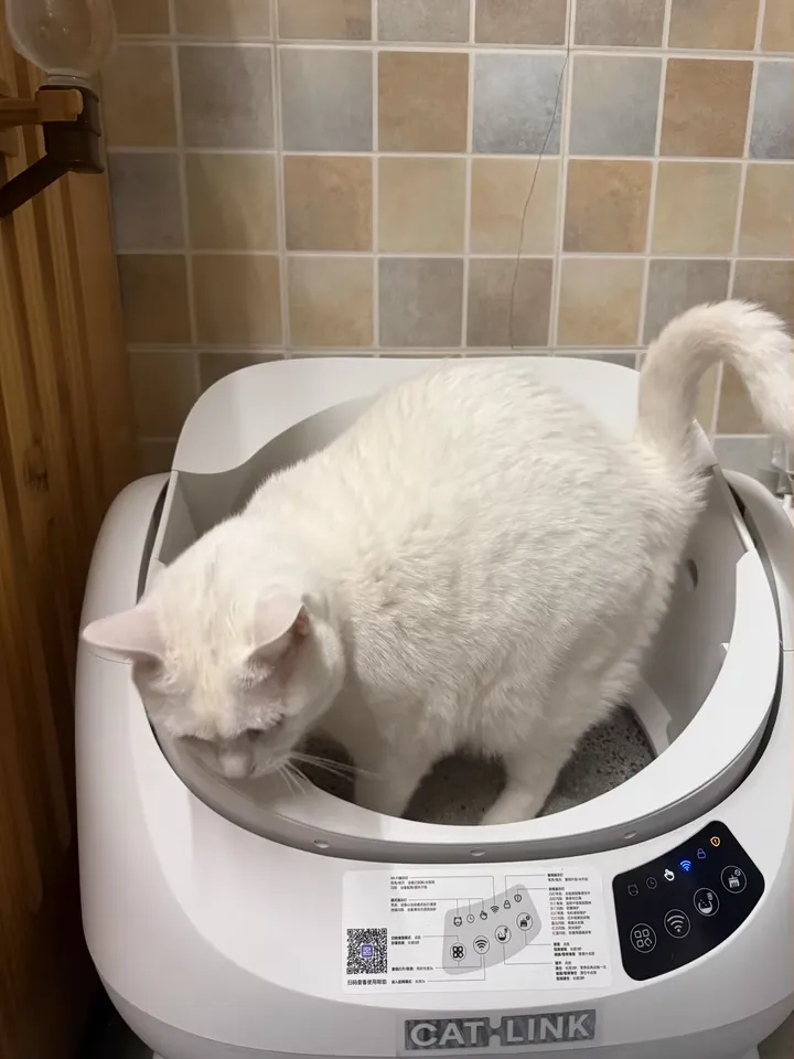 Catlink EU Facebook ad