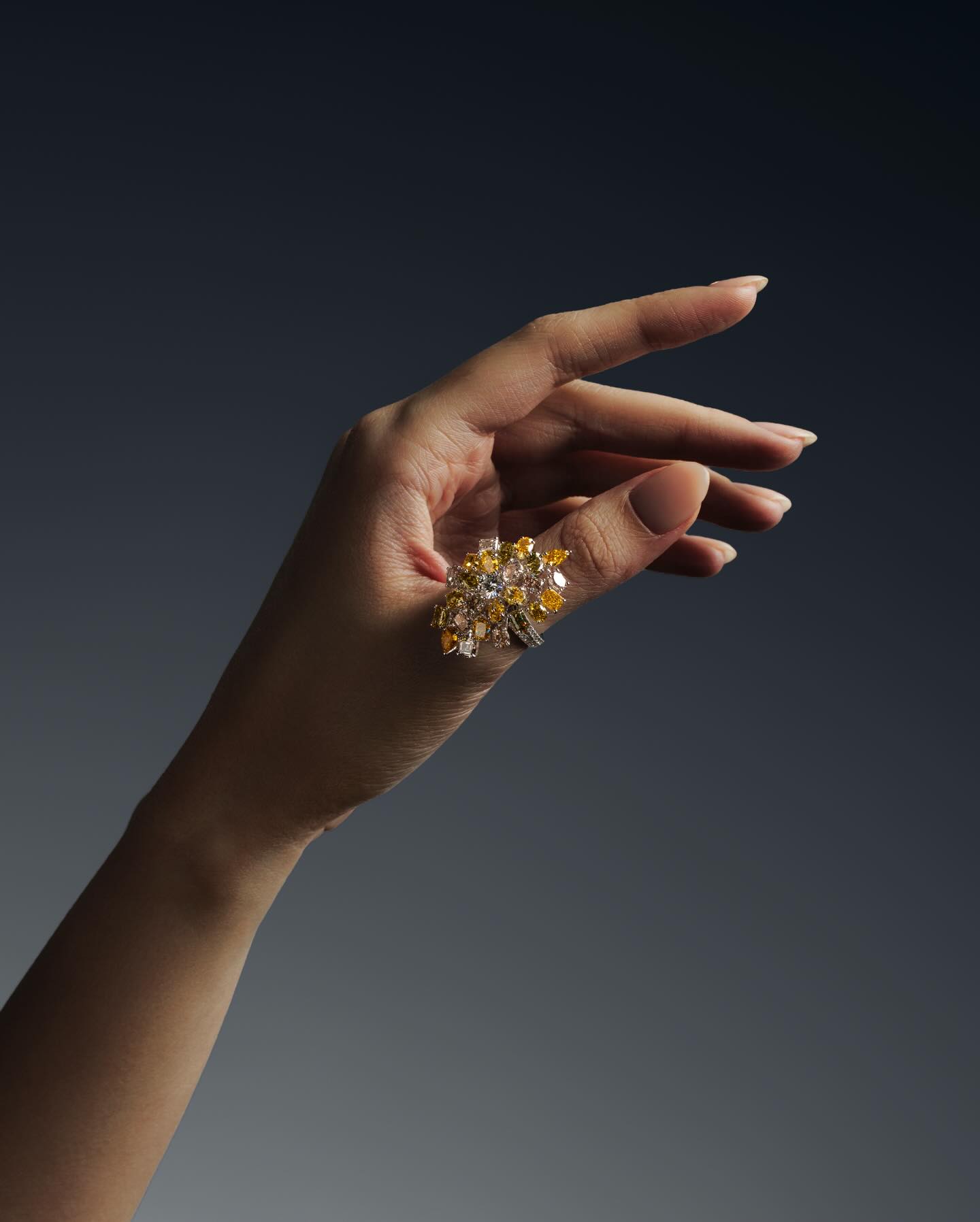 DiA Precious Jewellery Facebook ad: A celebration of nature’s quiet radiance.