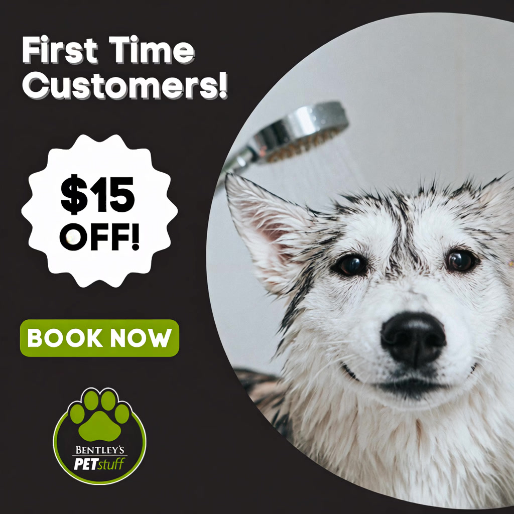 Bentley's Pet Stuff & Grooming Schaumburg Facebook ad