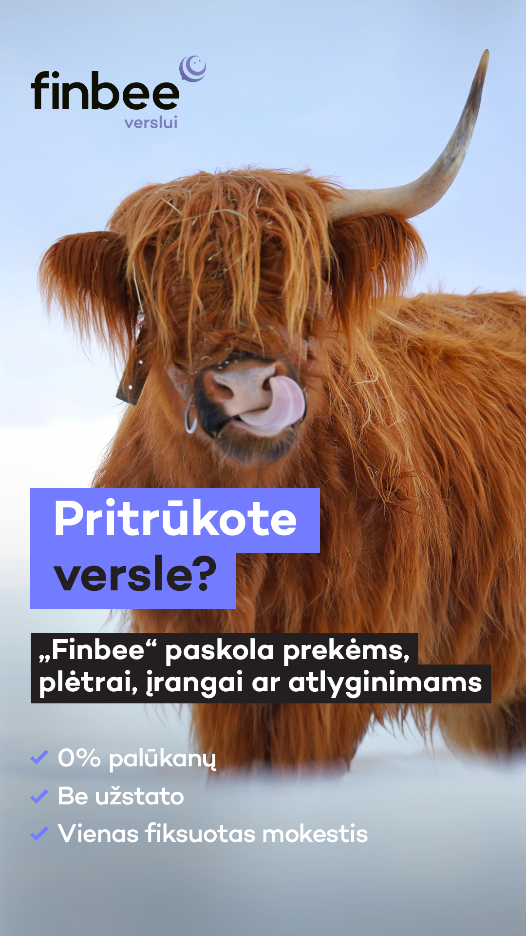 Finbee Verslui Facebook ad