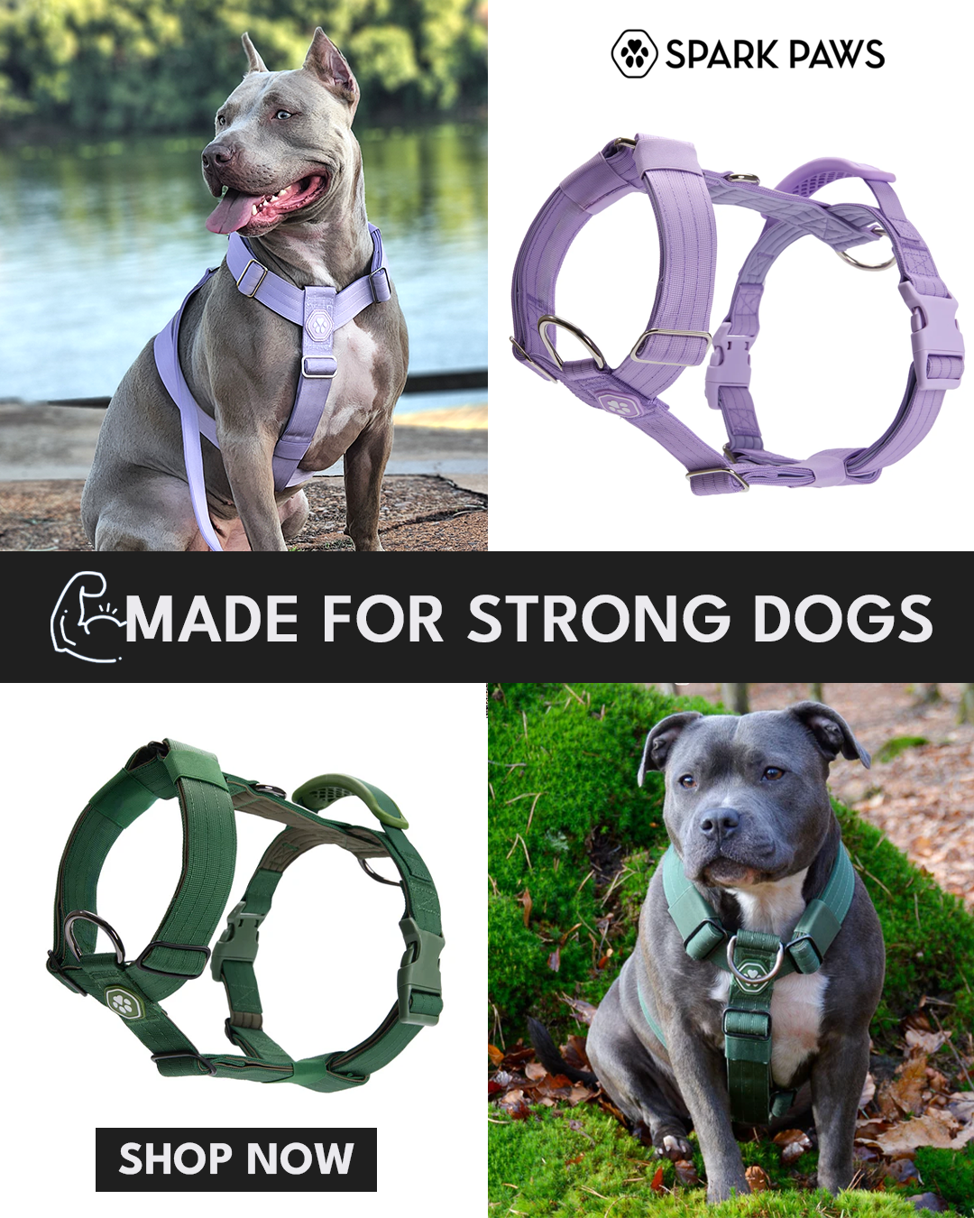 Spark Paws Facebook ad
