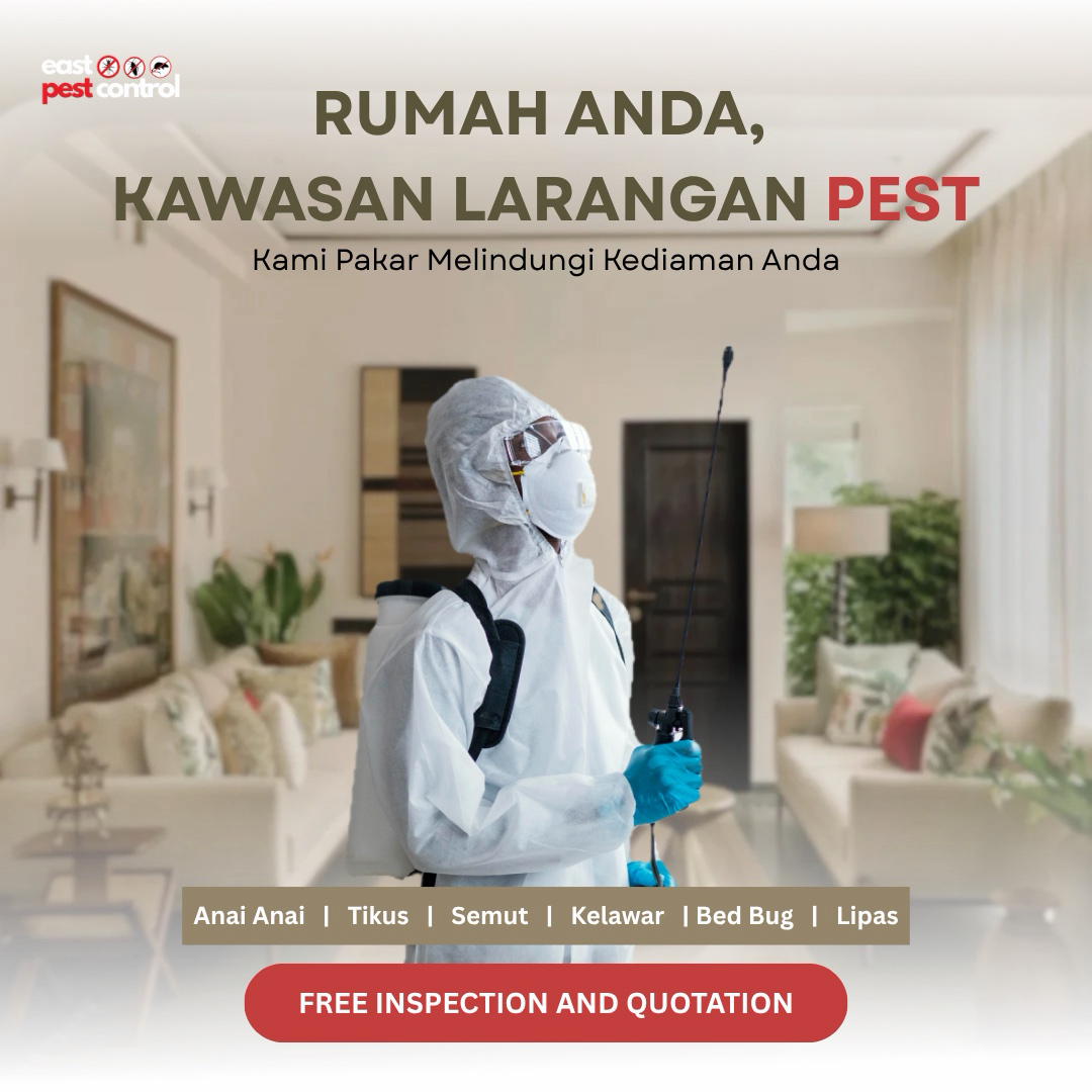 East Pest Control Facebook ad: Chat with us