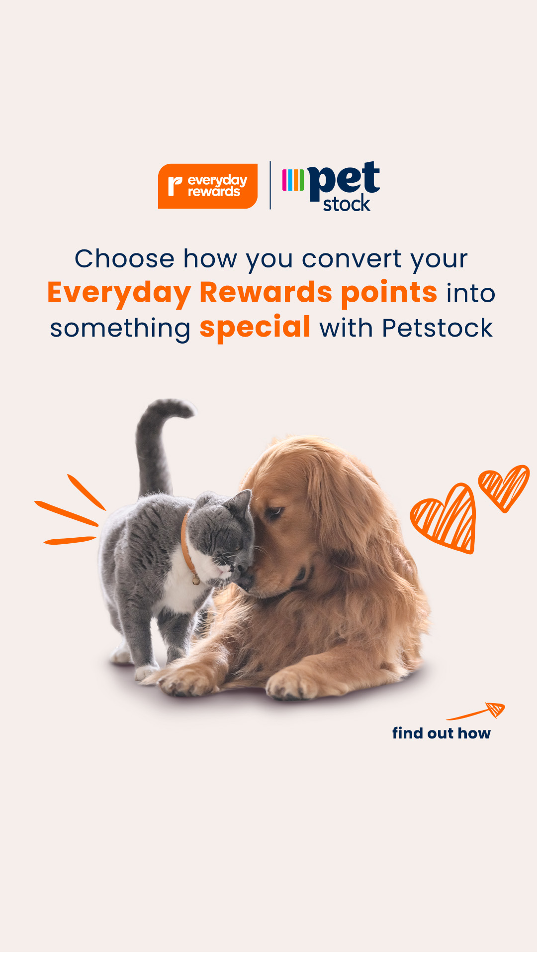 Petstock Facebook ad