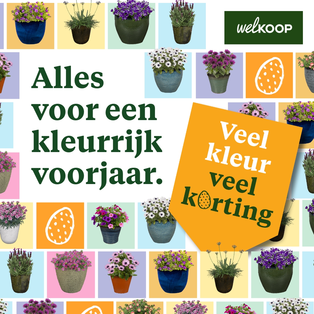 Welkoop Facebook ad