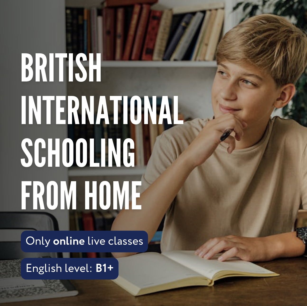 Vischool Global Facebook ad
