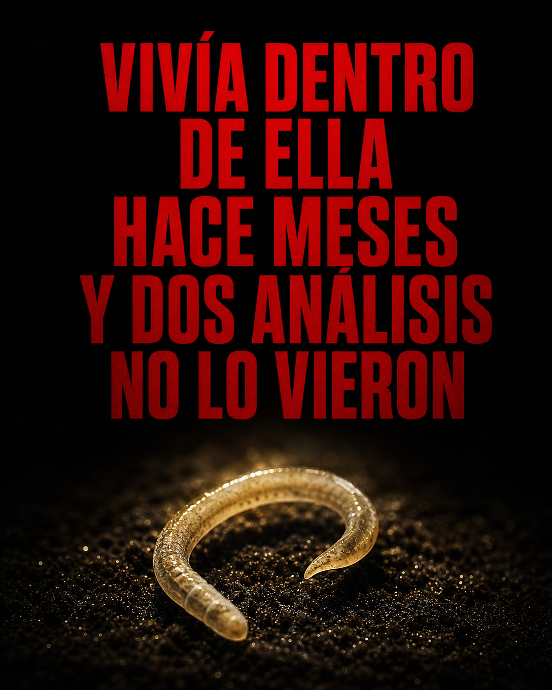 Cocina Activa Facebook ad