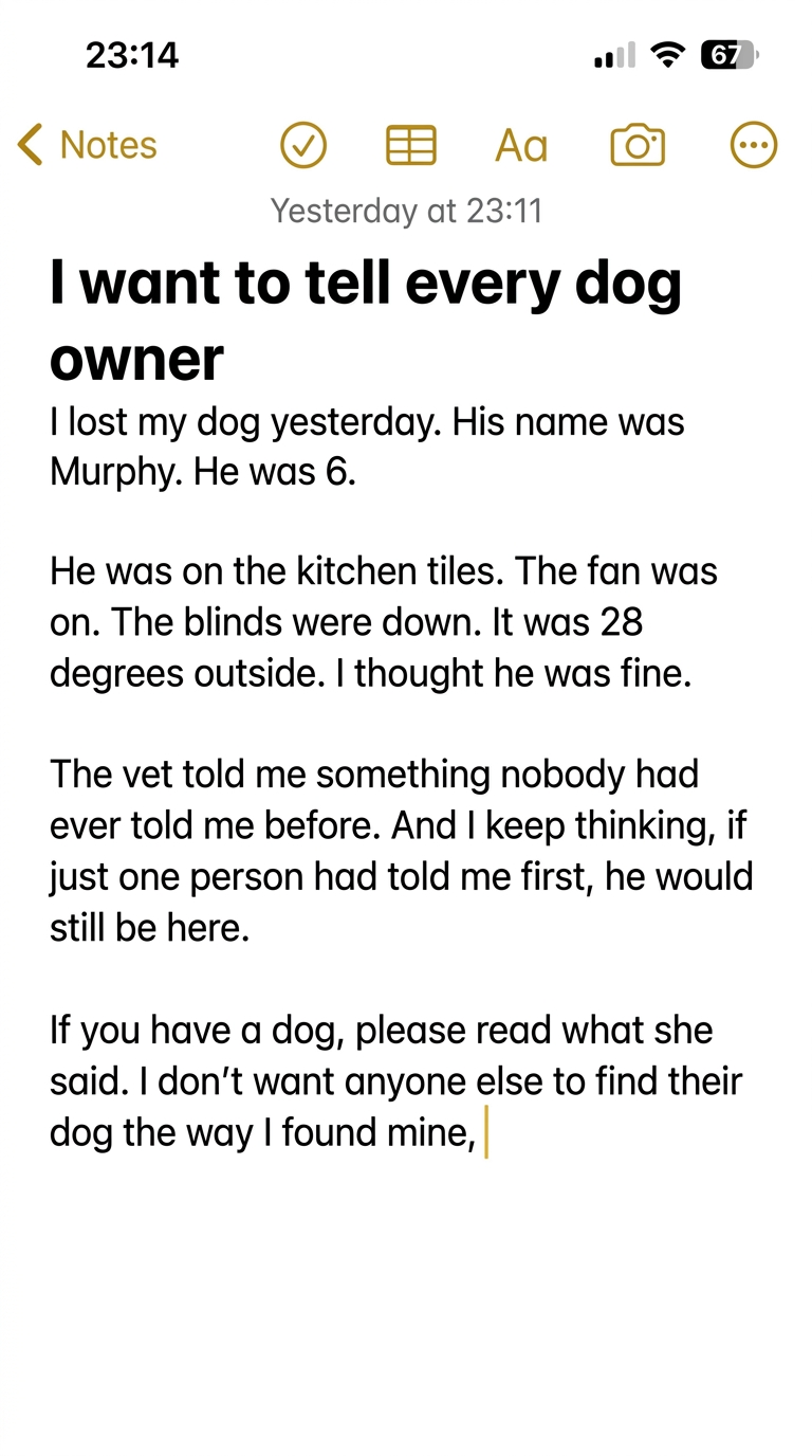 Kovah Facebook ad: The vet told me one sentence.