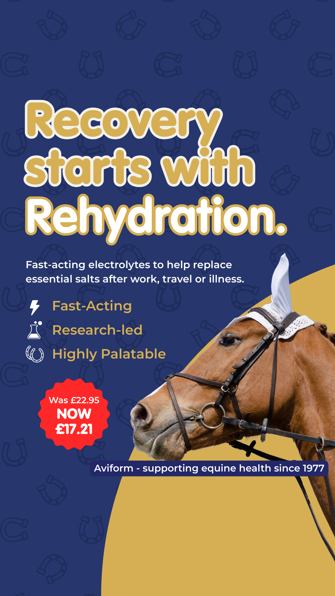 Aviform Nutrition UK - Horse & Dog Facebook ad