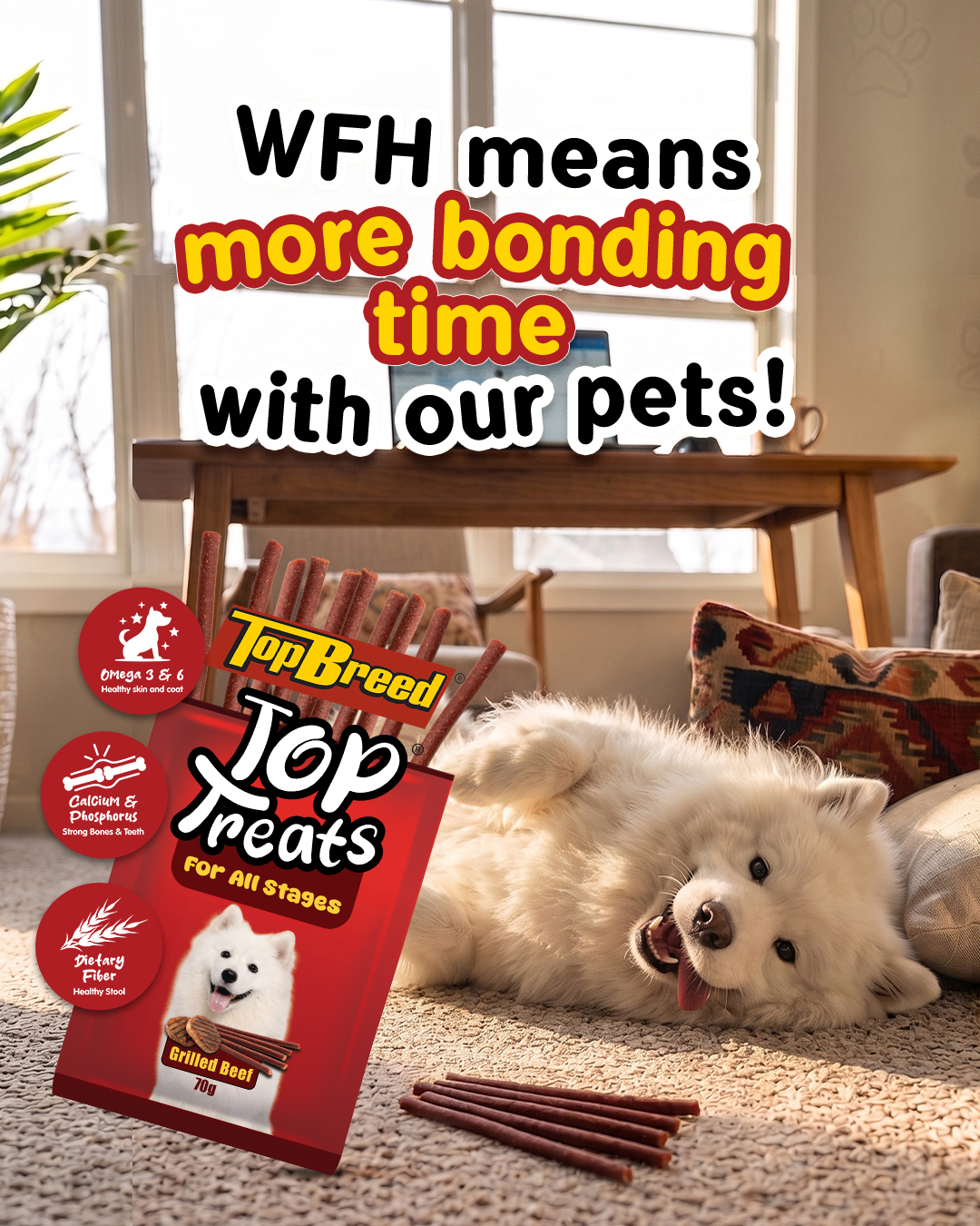 TopBreed Facebook ad: Need a little treat at the end of…