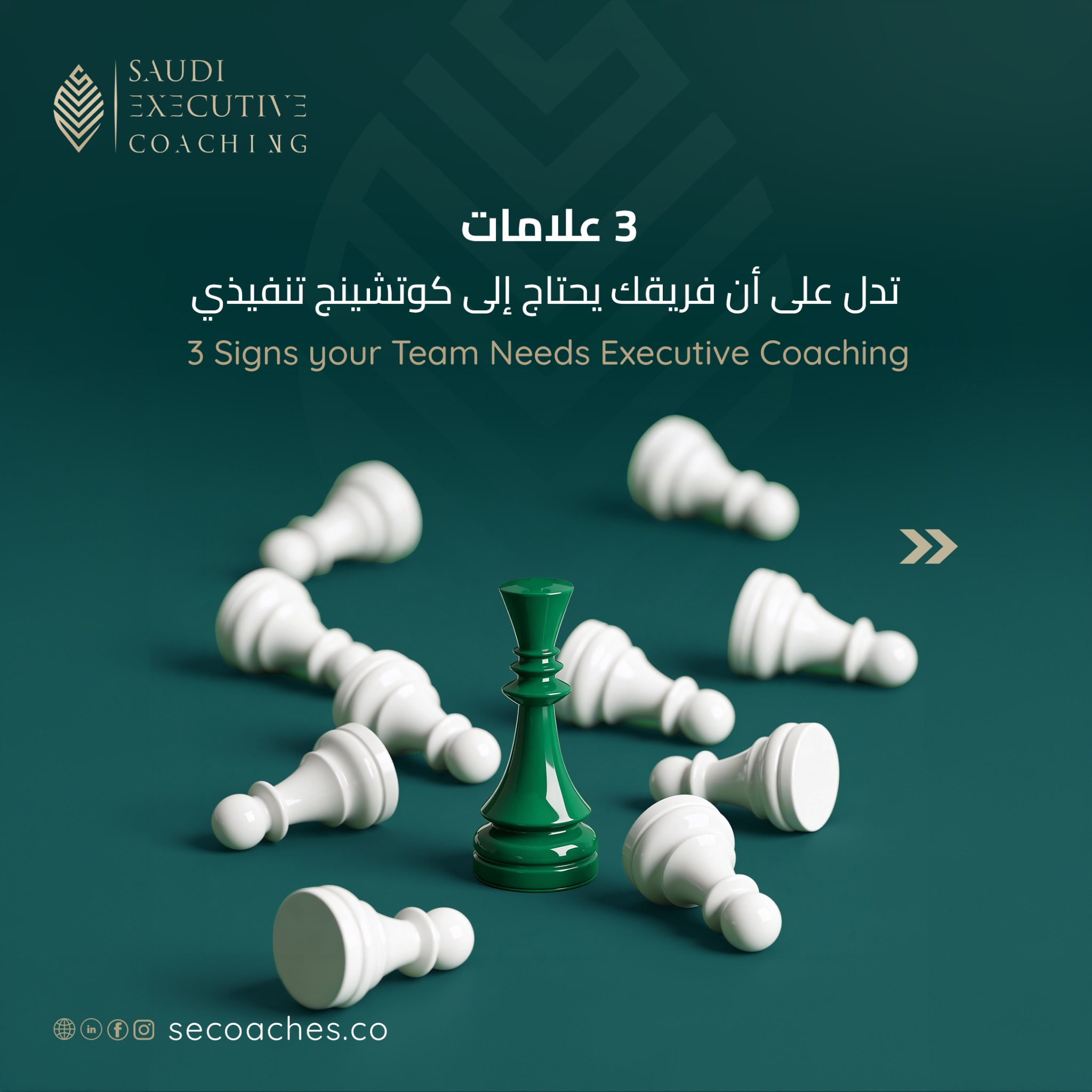 SEC - Saudi Executive Coaching Facebook ad