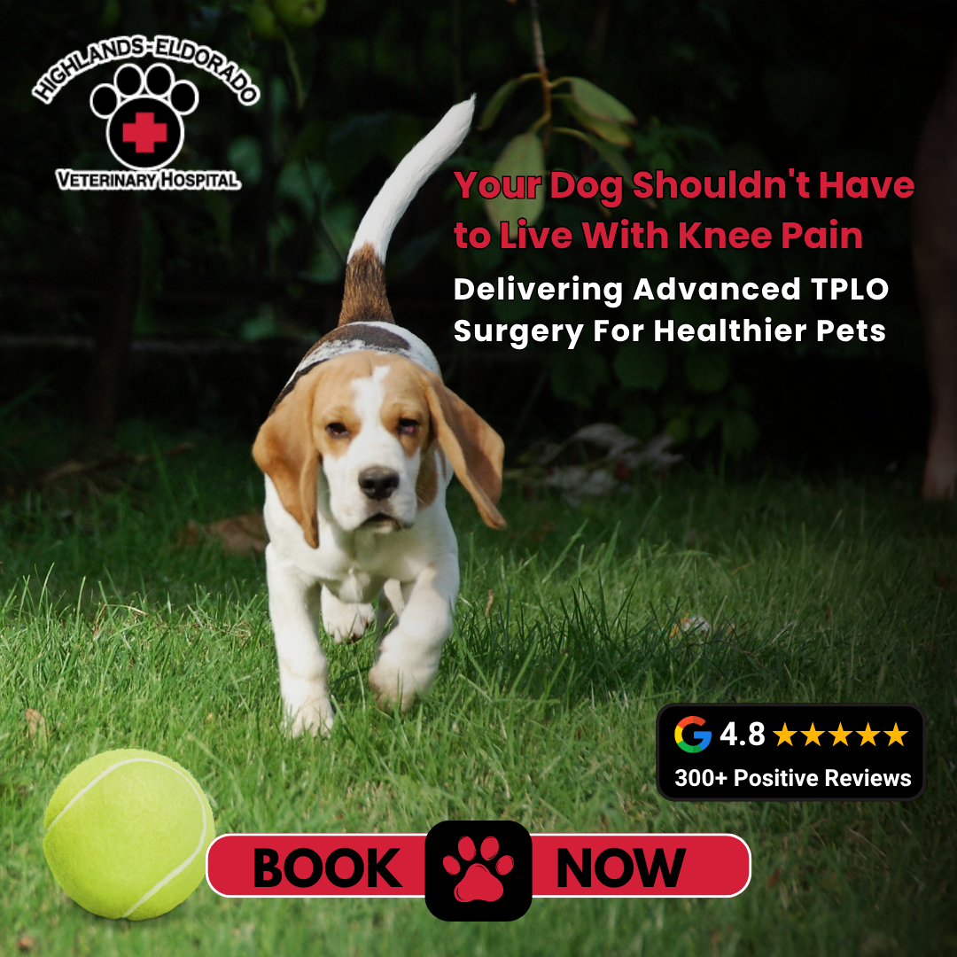 Highlands-Eldorado Veterinary Hospital Facebook ad: Don’t Let Knee Pain Slow Them Down, Book Expert TPLO Care…