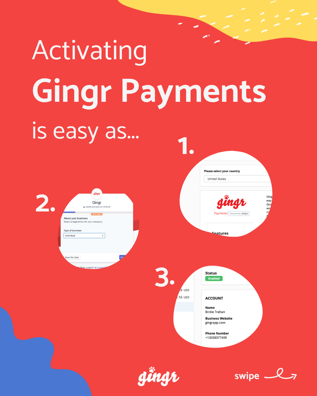 Gingr Facebook ad
