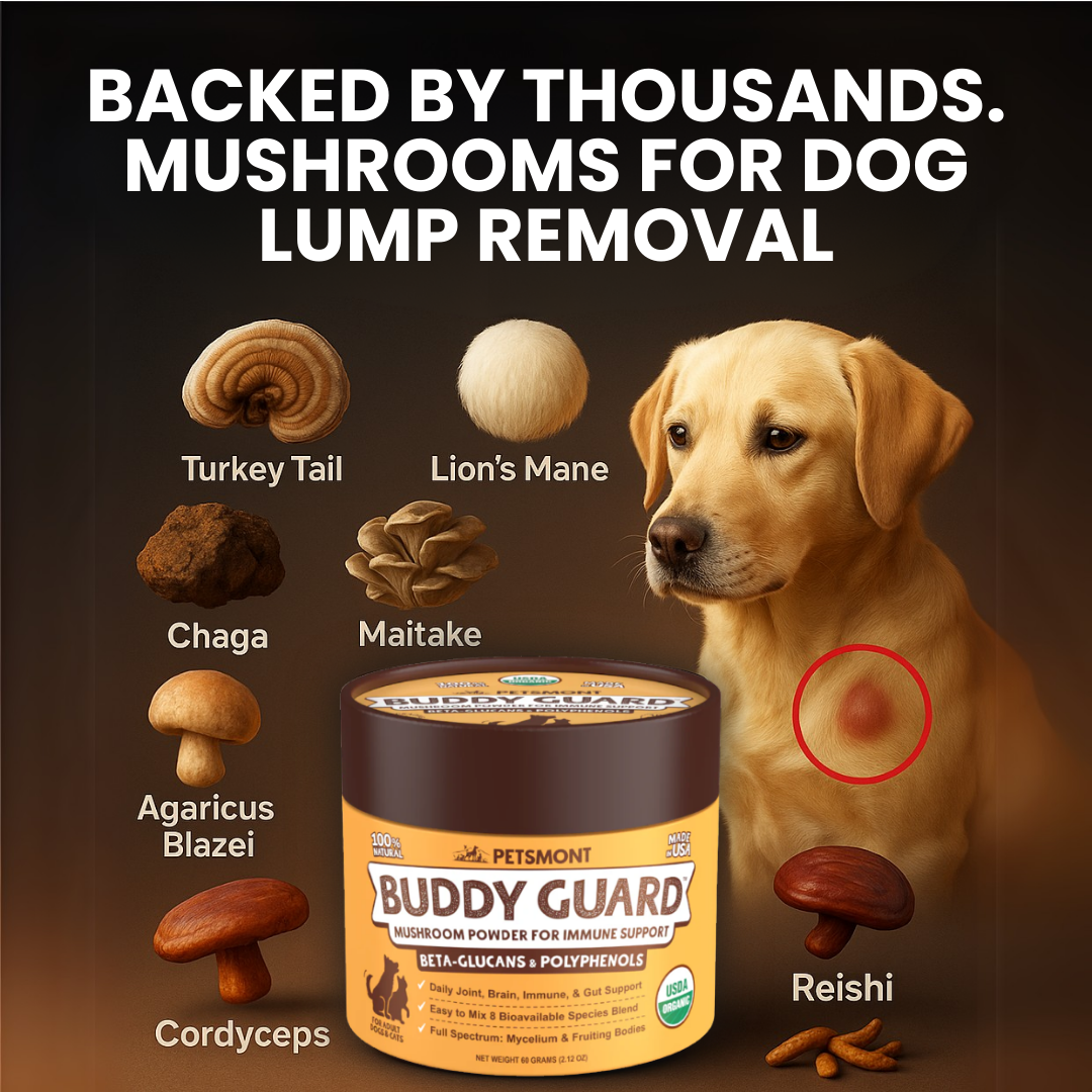 Petsmont Facebook ad