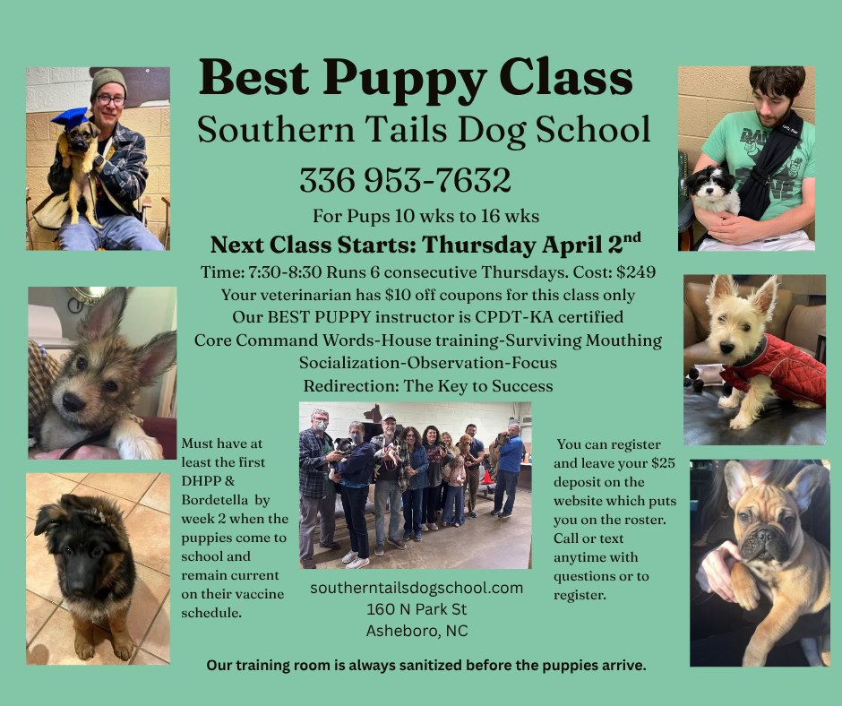 Southern Tails Dog School Facebook ad from Mar 30, 2026